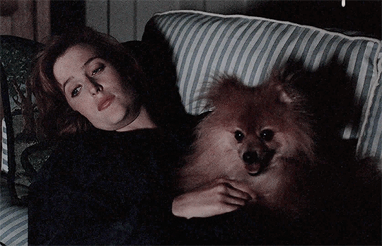 /posts/2025-09sep/scully+queequeg.gif